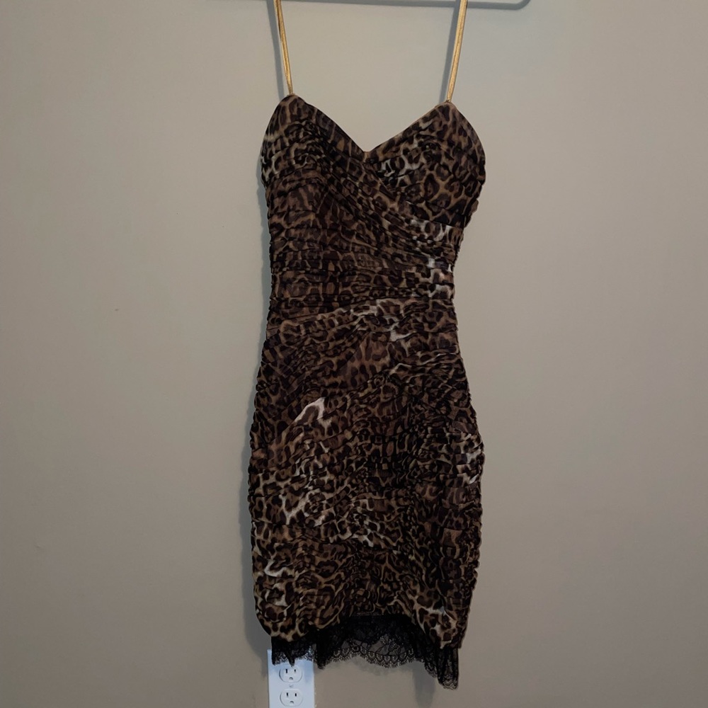BCBG leopard and lace dress